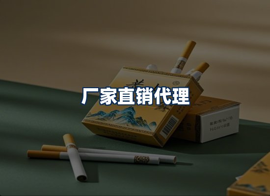 专业团队办公环境